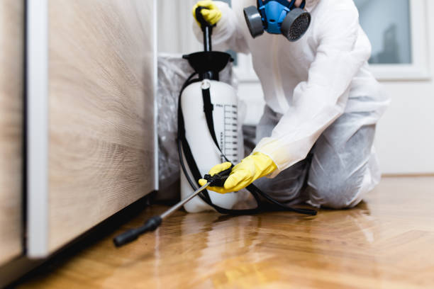 Best Pest Control for Homes  in Paonia, CO