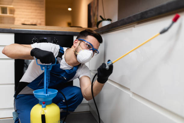 Best Affordable Pest Control Services  in Paonia, CO