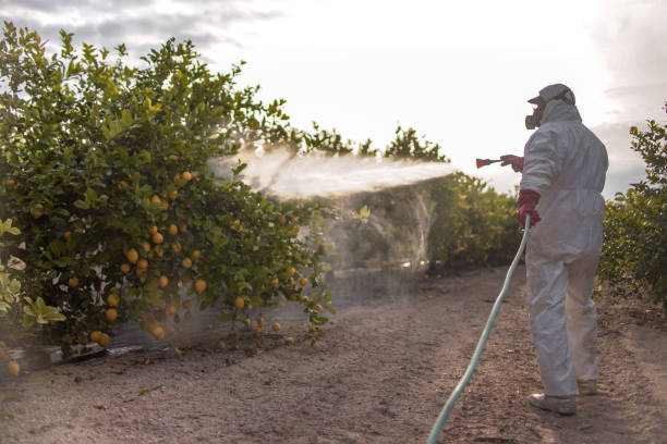 Trusted Paonia, CO Pest Control Experts