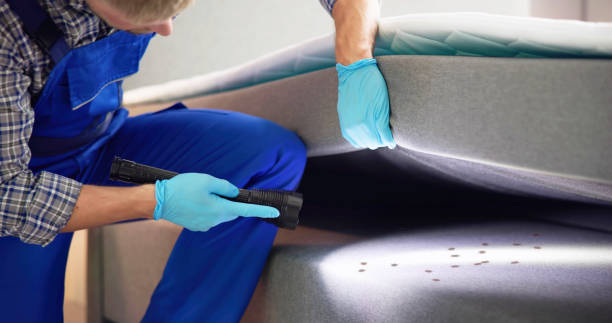 Best Exterminator Services  in Paonia, CO