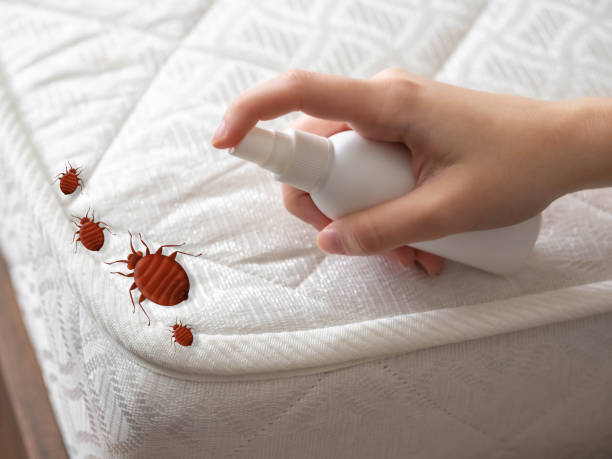 Best Residential Pest Control  in Paonia, CO
