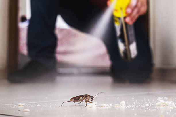 Best Cockroach Control Services  in Paonia, CO