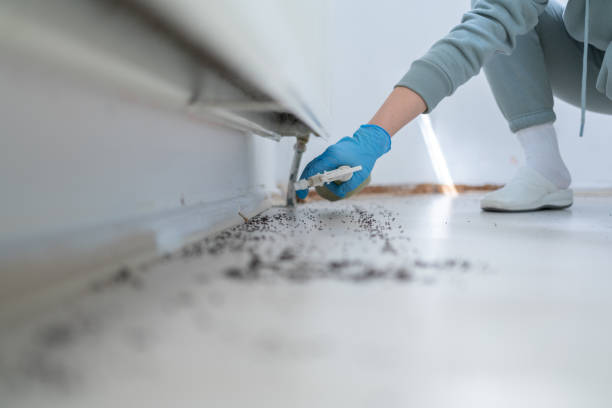 Best Pest Inspection Near Me  in Paonia, CO