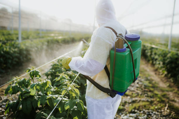 Best Emergency Pest Control  in Paonia, CO